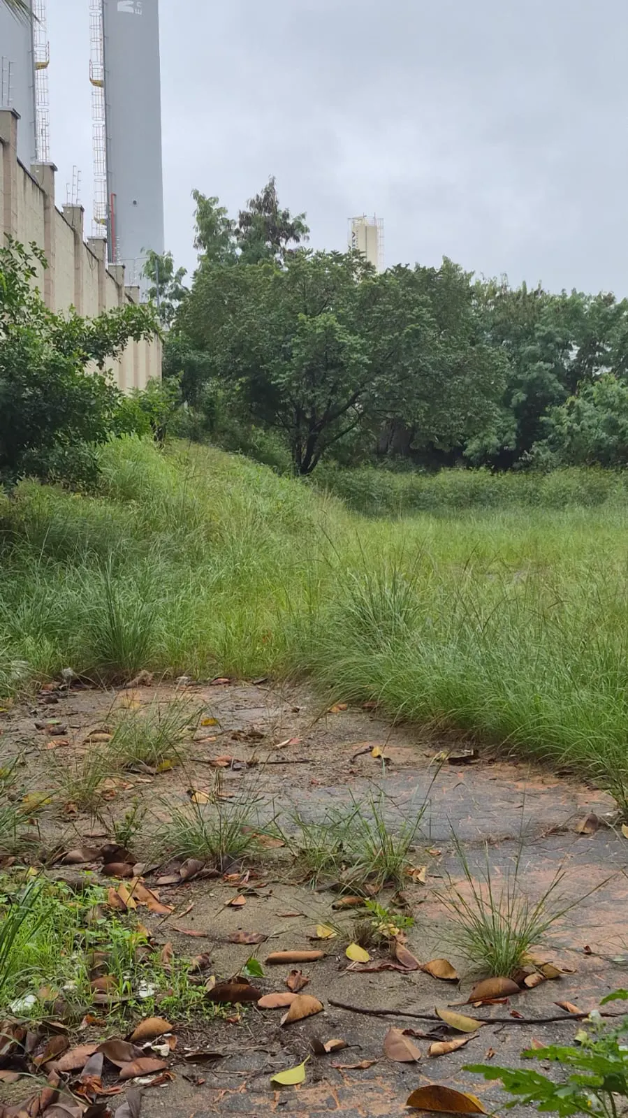 Área de lazer do condomínio antes da obra, terreno abandonado